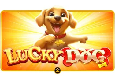 Meja kasino langsung Swip5 dengan dealer profesional untuk Baccarat, Blackjack, dan Roulette